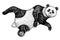 Soaring Giant panda. A wild cute animal falls down. black and white Asian bear in China. Vintage style. Engraved hand