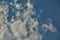 A soaring kite against a background of white clouds in a blue sky.