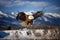 Soaring Majesty: Eagle Flying High. Generative AI