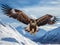 Soaring Majesty: Golden Eagle in Flight Over Mountains