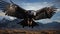 the soaring motion of a condor, showcasing its wide wingspan