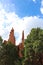 Soaring sandstone pinnacles rising up behind Cypress trees on a sunny day at Garden of the Gods in Colorado Springs, Colorado