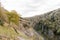 Soay sheep on slopes of Cheddar Gorge