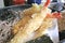 Soba Noodle and Tempura Street Food