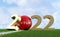 Soccer 2022 - Soccer ball in Turkey flag design on a soccer field. Soccer ball representing the 0 in 2022.