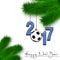 Soccer ball and 2017 on a Christmas tree branch
