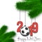 Soccer ball and 2019 on a Christmas tree branch