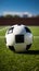 A soccer ball against a picturesque soccer field background