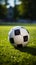 A soccer ball against a picturesque soccer field background