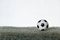 Soccer Ball on artificial grass, dark gray.