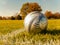 Soccer ball on an autumn field