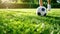 Soccer ball on the field with players foot approaching for a kick.