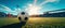 Soccer Ball on Field with Stadium Background Sun
