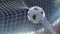 Soccer ball flies into the net. A close plan against the background of the stadium floodlights. 3D illustration.