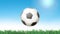 Soccer ball flying on seamless grass animation