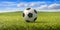 Soccer ball, football close up view, green grass field, blue sky background. 3d illustration