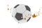 Soccer ball football leaf leaves horizontal dry  flying by the wind in autumn season background