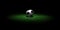 Soccer ball on grass in the dark