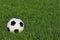 Soccer ball on grass. football