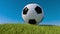 Soccer ball on a grassy hill. 3d animation. Football animation