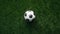 Soccer ball on green grass football field top view with copy space. Euro 2024 background