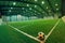 Soccer ball on green grass in an indoor playground