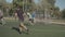 Soccer ball hitting goalpost after kick during game