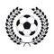 Soccer ball icon in laurel wreath