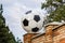 Soccer ball made of marble, decorative architectural element