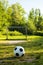 Soccer ball on penalty spot in natural football ground