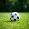 soccer ball resting on a freshly mowed green field, perfect for sports-related designs