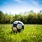 soccer ball resting on a freshly mowed green field, perfect for sports-related designs