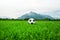 Soccer ball salzburg austria, football at the untersberg summer outdoor