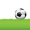 Soccer Ball Sitting in Grass Background Illustration