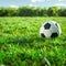 Soccer ball on a sunlit grass field, 3D rendering concept