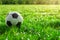 Soccer ball on a sunlit grass field, 3D rendering concept