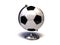 Soccer ball - terrestrial globe
