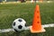 Soccer Ball and Training Cone Lying on Football Pitch Sideline