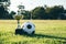 Soccer ball and trophy on grass field, sport concept