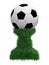 Soccer ball trophy on green grass pedestal