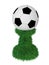 Soccer ball trophy on green grass pedestal