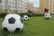 Soccer balls on the green lawn