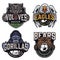 Soccer and baseball teams vintage badges