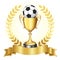 Soccer championship gold trophy