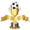 Soccer championship trophy and ribbon