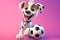 Soccer Dreams Unleashed: A 3D Generated Story of a Dog\\\'s Aspirations Against Pink Gradient Background