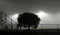 Soccer field at night in thick fog.