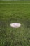 Soccer Field Penalty Spot