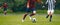 Soccer football players chasing ball on field