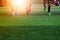 The soccer football players at the stadium with sunset.